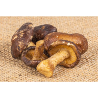 Houby Shiitake 100g Houby Shiitake 100g