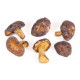 Houby Shiitake 100g